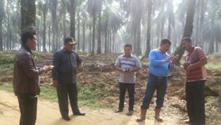 Presiden Joko Widodo Akan Kunjungi Desa Pelita Rohil