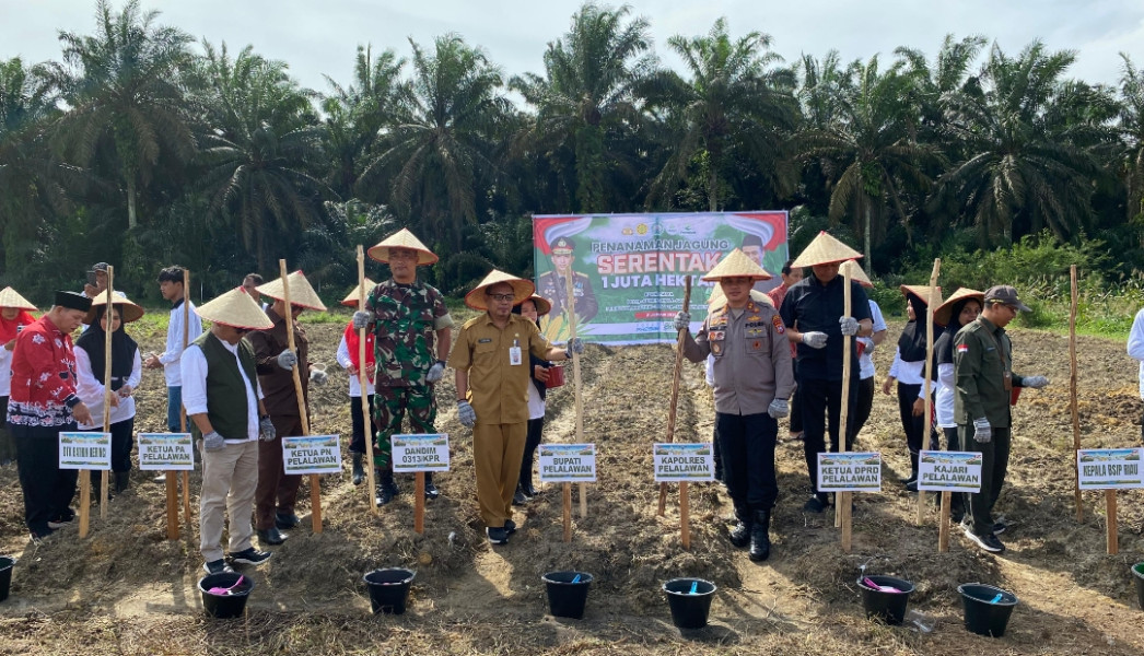 Pemda Pelalawan Ikut Tanam Jagung 1 Juta Hektar