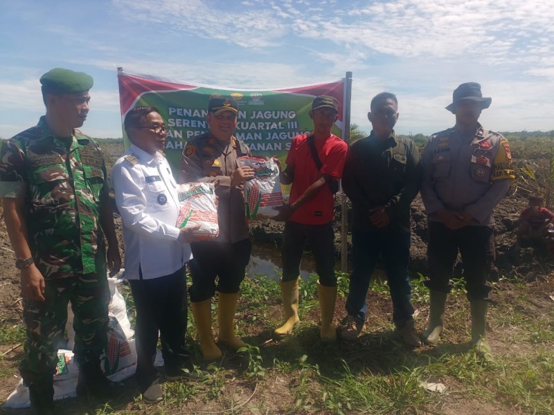 Polsek Bangko Bersama Koptan Tanam 1 juta Hektare Jagung