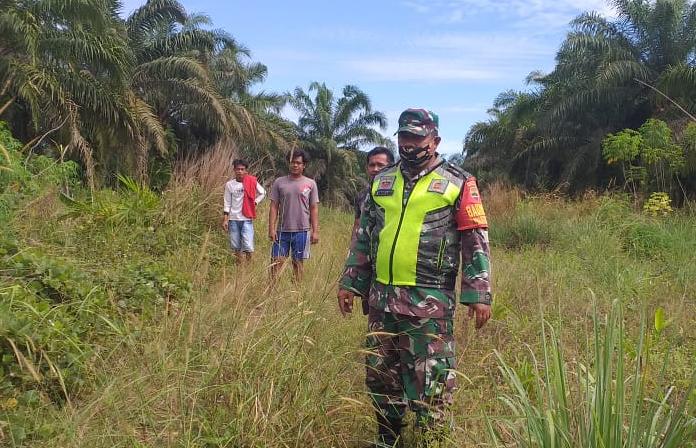 Serda K Manullang Sisir Hutan dan Lahan di Pinang Sebatang