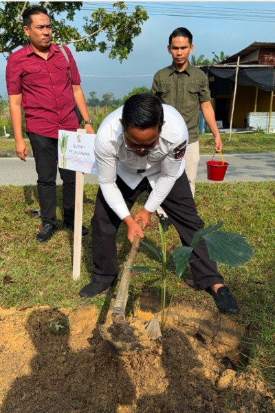Menuju Pelalawan Kota Aren, Bupati Lakukan Kick Off Penanaman Bibit