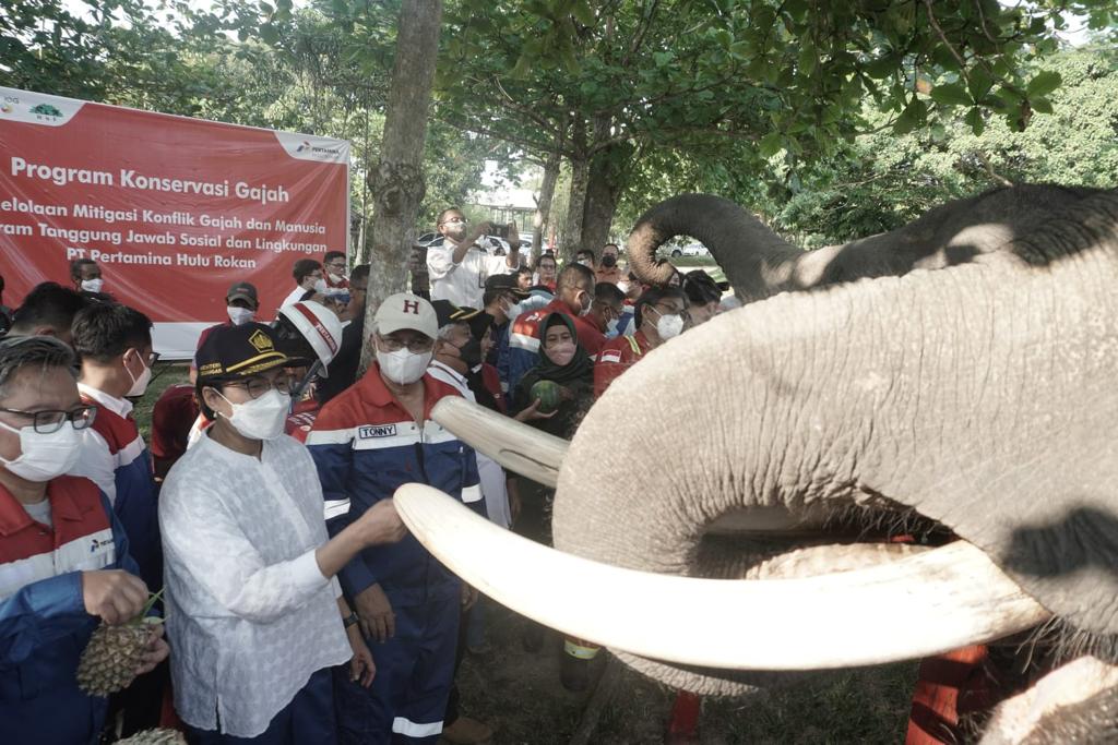 Menteri Keuangan Republik Indonesia Apresiasi Konservasi Gajah Binaan PHR
