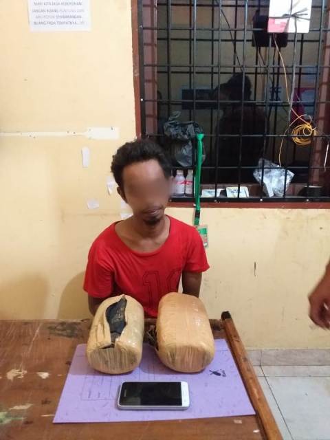 Bawa Ganja 2 Kg, Warga Bunut Ditangkap di Pangkalan Kerinci