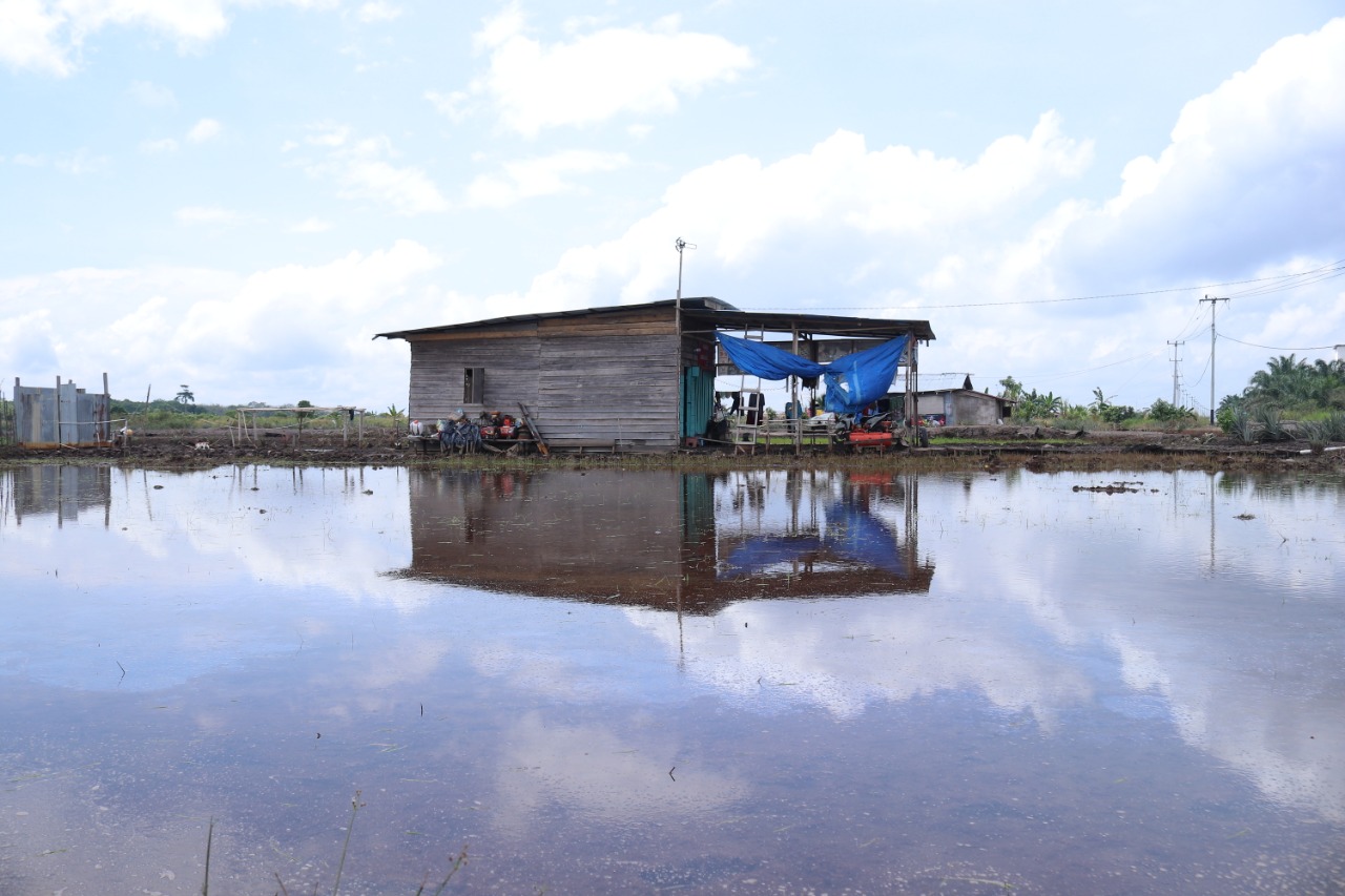 81 Rumah di Muara Bungkal Terendam Banjir, Akses Jalan Menuju Persawahan Lipai Terputus