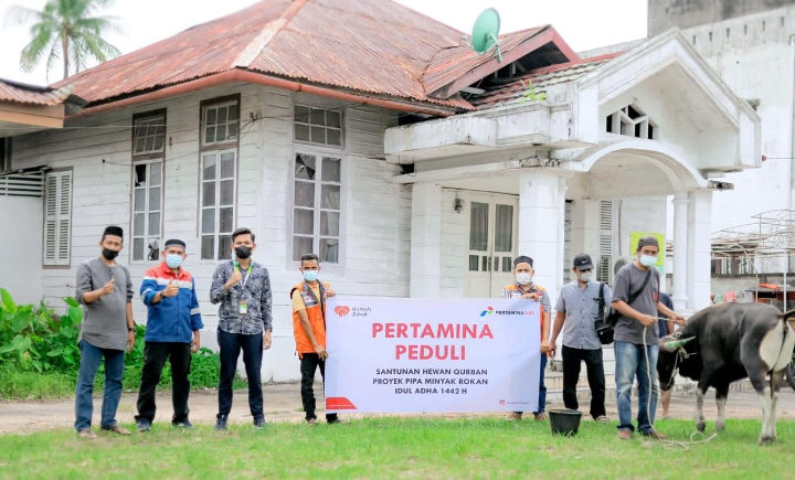 Bupati Afrizal Sintong Serahkan Sapi Qurban ke Wartawan