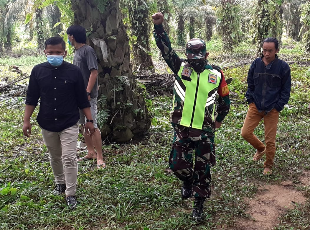 Kedapatan Bakar Hutan dan Lahan, Akan Dipidana