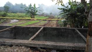 Diduga Sengaja Dibakar, Lahan Satu Hektar di Tualang Ludes