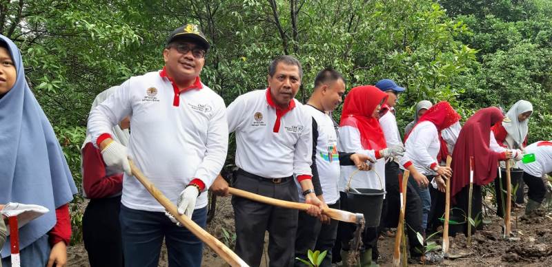 Tanam 1000 Bibit Mangrove, Dukung Pemulihan Daerah Aliran Sungai (DAS)