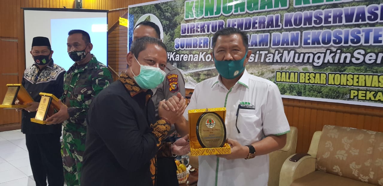KLHK Berikan Penghargaan Terbanyak Terkait Penanganan Konflik Harimau di Riau