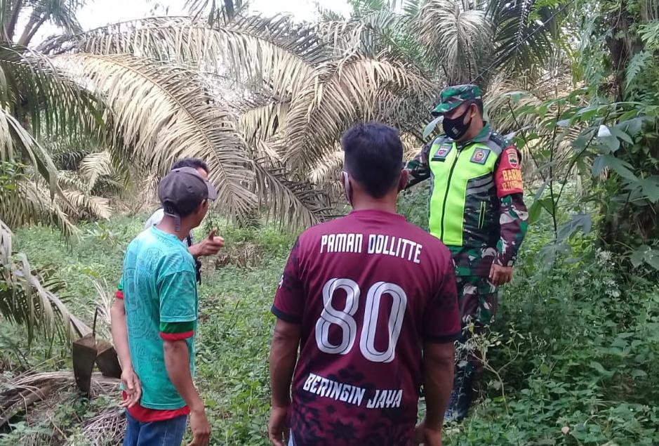 Sertu Afrisal Sisir Hutan Dan Lahan Yang Rawan Terbakar