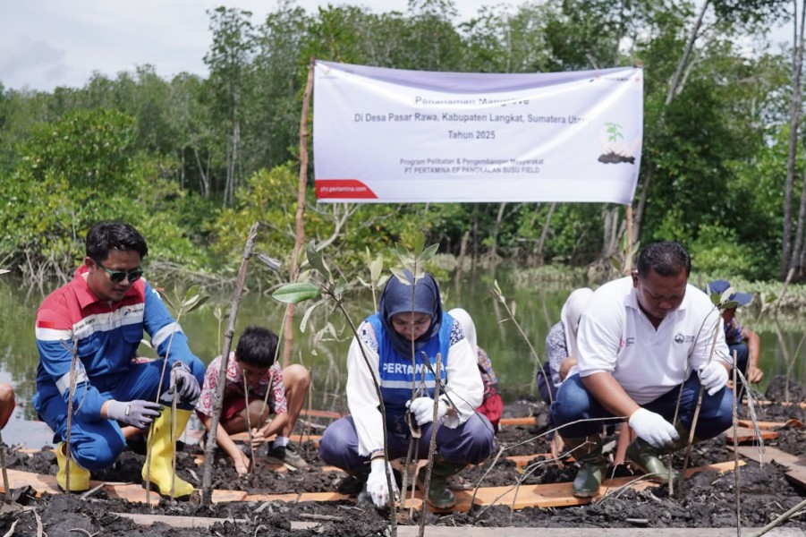 PALUH ASRI: Transformasi Dapur Arang Menjadi Kawasan yang Kaya Keanekaragaman Hayati