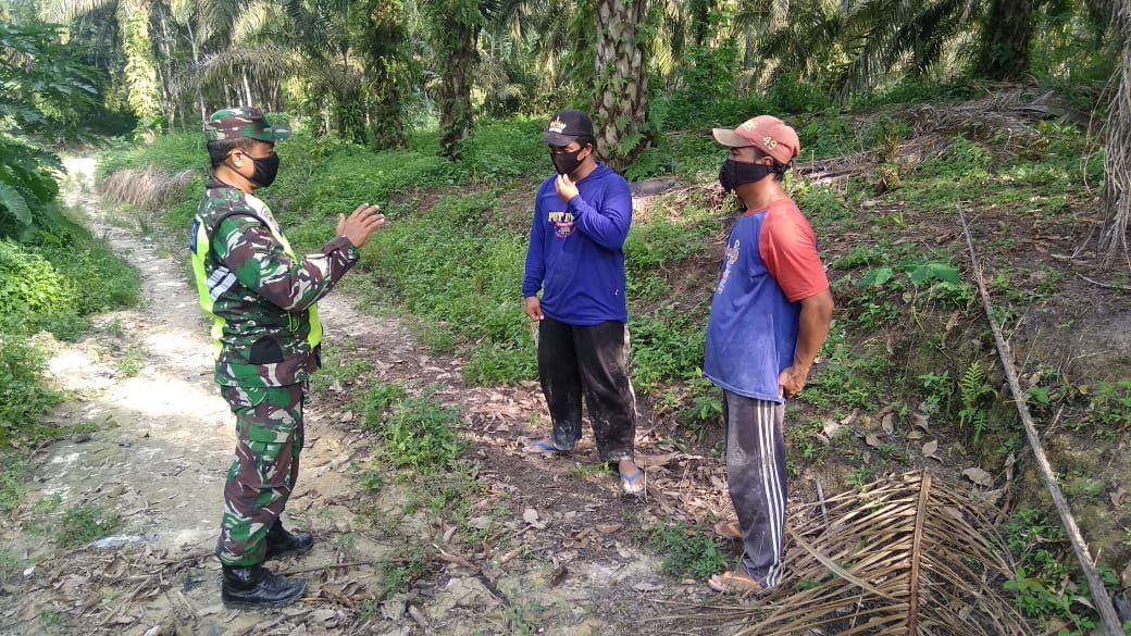 Sisir Hutan Dan Lahan di Empang Pandan, Serda Laila Syahdanur Sampaikan Bahaya Karlahut