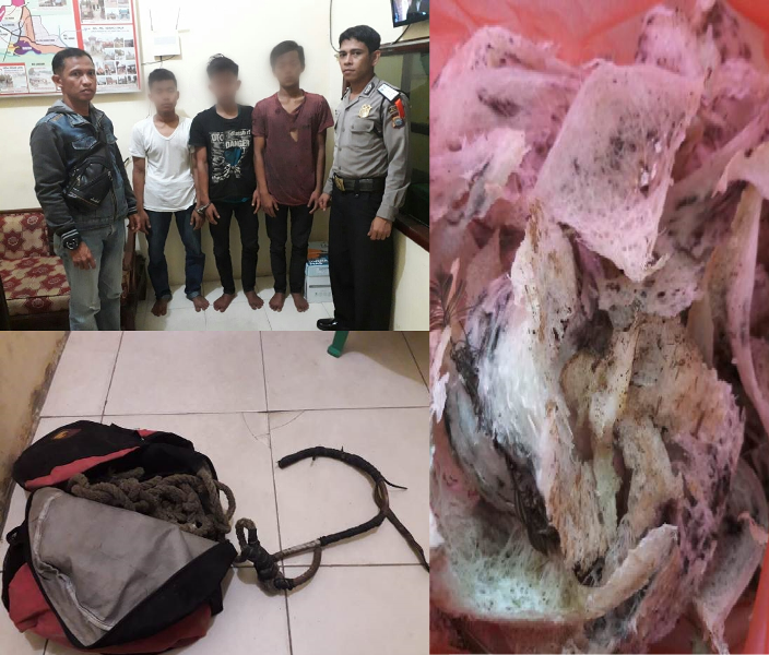 Curi Sarang Burung Walet, Vicky Rinanda Dkk Dilaporkan ke Polisi