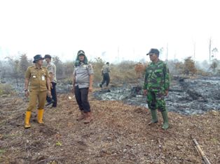 Kebakaran 5 Ha Lahan Gambut di Kampung Penyengat Berhasil Dipadamkan