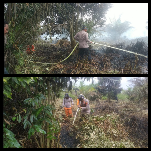 Berkat Kerjasama Semua Pihak, Dalam Waktu 5 Jam Karhutla di Desa Sering Berhasil Dipadamkan