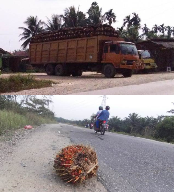 Tanpa Jaring Pengaman, Truck Over Tonase Milik Caleg Serasi Ginting Dinilai Bahayakan Pengendara