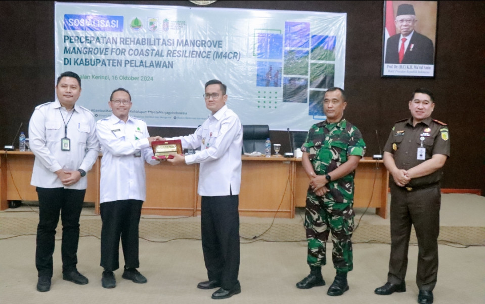 Pemkab Pelalawan Apresiasi Sosialisasi M4CR oleh BRGM