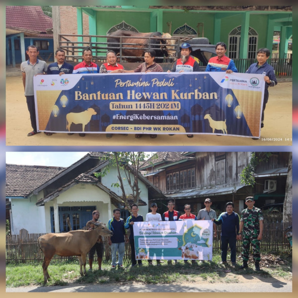 Tebarkan Energi Kebaikan, Subholding Upstream Pertamina Salurkan Ribuan Hewan Qurban di Seluruh Indonesia