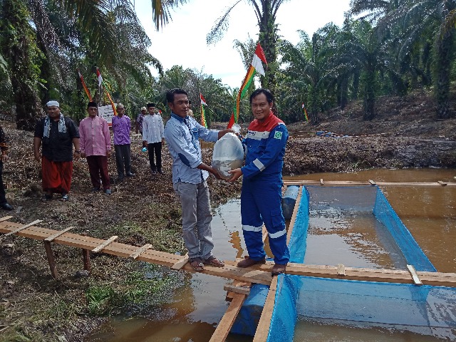Bersama Pemdes Senama Nenek, PHE Siak Ajak Masyarakat Belajar Budidaya Ikan