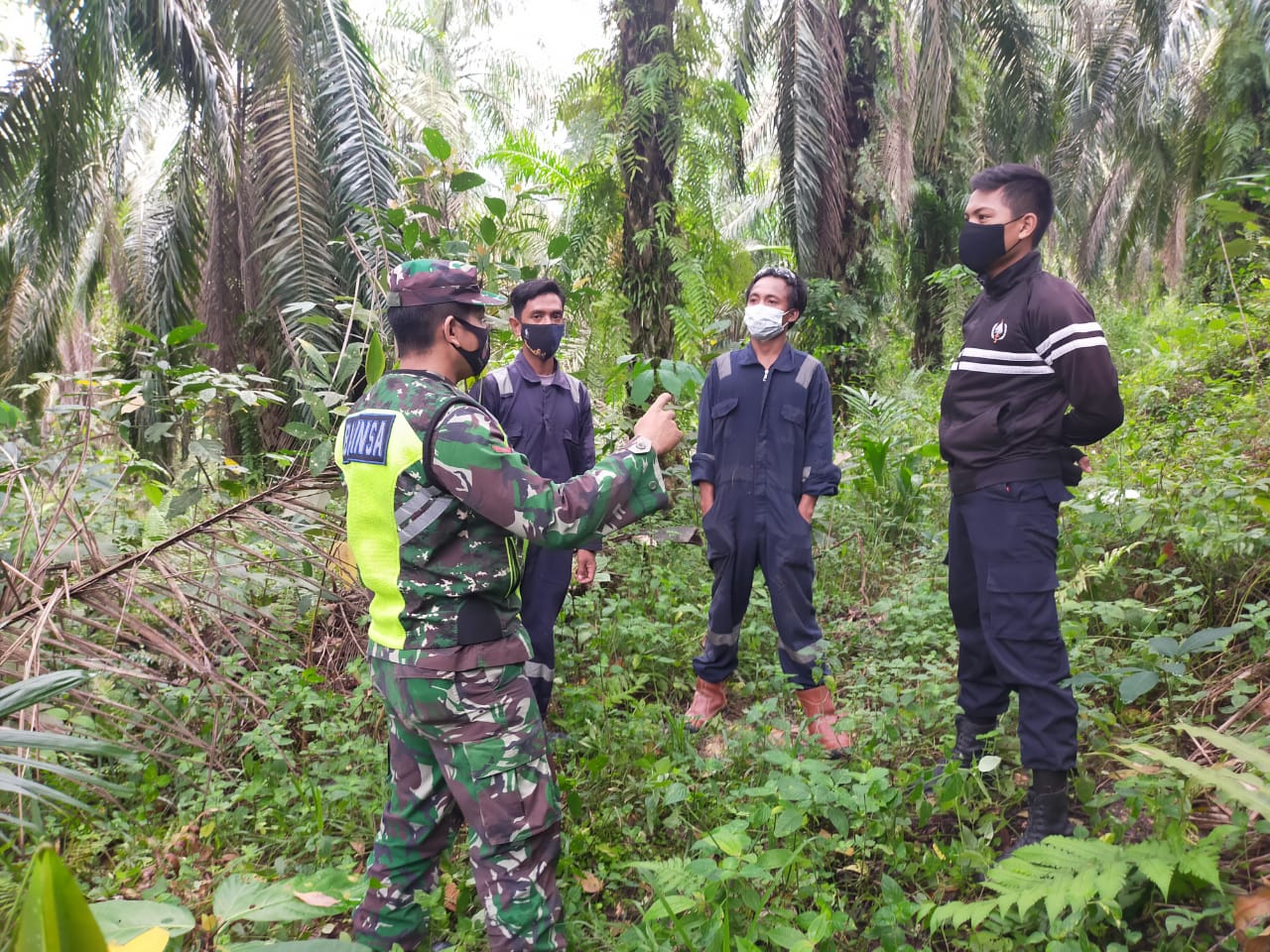 Bakar Hutan Dan Lahan, Siap-Siap di Penjara