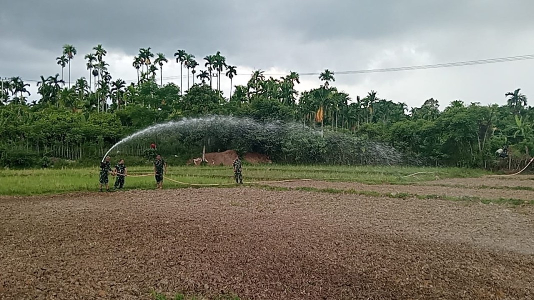 Tak Sekadar Menanam, Satgas TMMD ke-129 Kodim 0102/Pidie Rawat Harapan Petani di Tengah Teriknya Cuaca