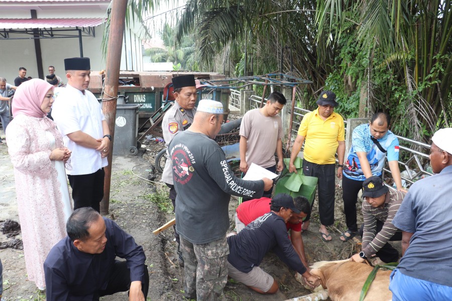 Wujud Kepedulian Terhadap Masyarakat, Polres Pelalawan Sembelih 12 Ekor Sapi Qurban