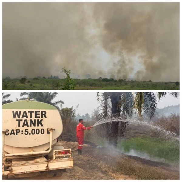 Mitigasi Meluasnya Karhutla, Pertamina EP Lirik Kerahkan Fire Brigade Hingga Malam Hari