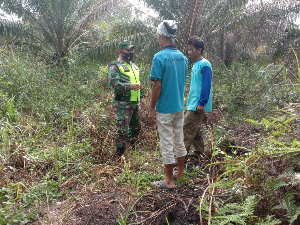 Cegah Karhutla, Sertu Uuk Sudarijanto Bersama Masyarakat Sisir Hutan dan Lahan