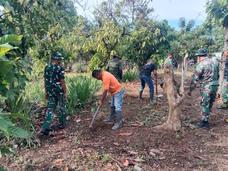 Dukung Ketahanan Pangan Berkelanjutan, Satgas TMMD Ke-129 Kodim 0102/Pidie Tanam Pohon Produktif Bersama Warga