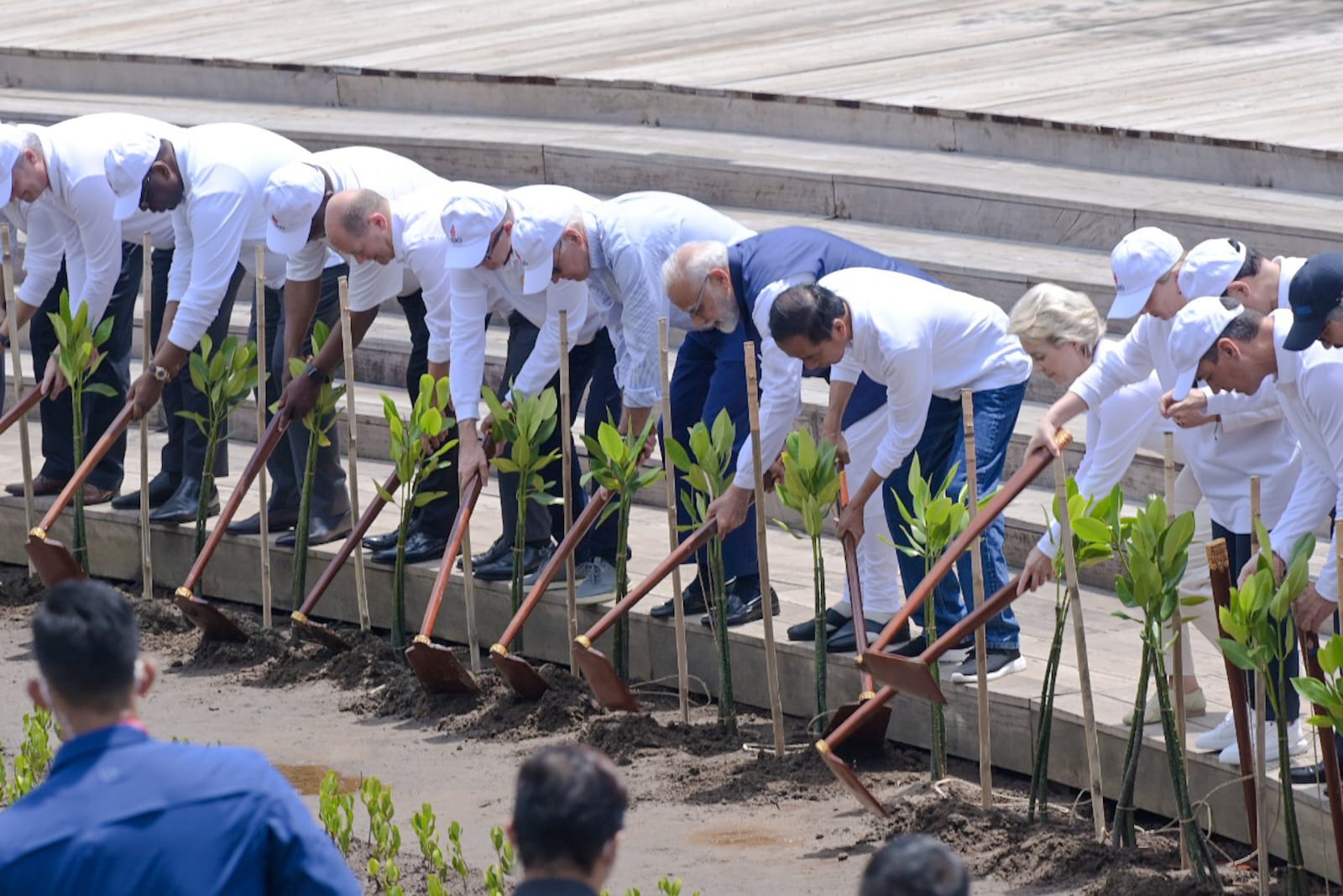 Pemimpin G20 Tanam Mangrove, Kolaborasi Atasi Perubahan Iklim