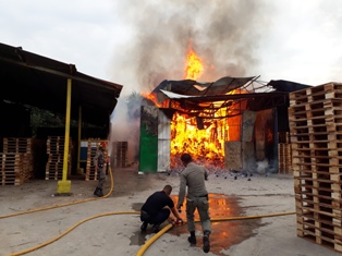 Gudang Pengering Palet Milik PT. HAL Ludes Terbakar