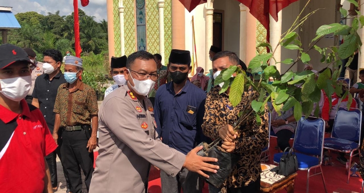 HUT Bhayangkara ke 75, Polres Rohil Tanami Pohon Trambesi