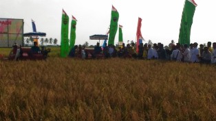 Amran Sulaiman Kagumi Potensi Pertanian di Kuala Kampar