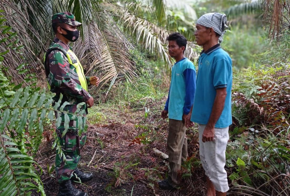 Sisir Lahan, Kopda Lasroha Sigalingging Sampaikan Bahaya Karhutla