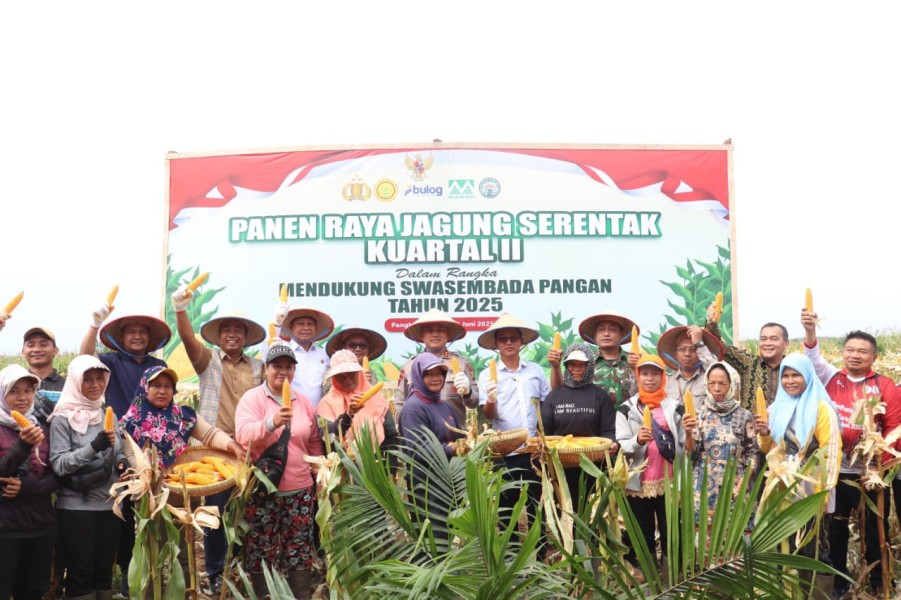 Dalam Upaya Dukung Program Swasembada Pangan 2025, PT Musim Mas Gelar Panen Raya Jagung