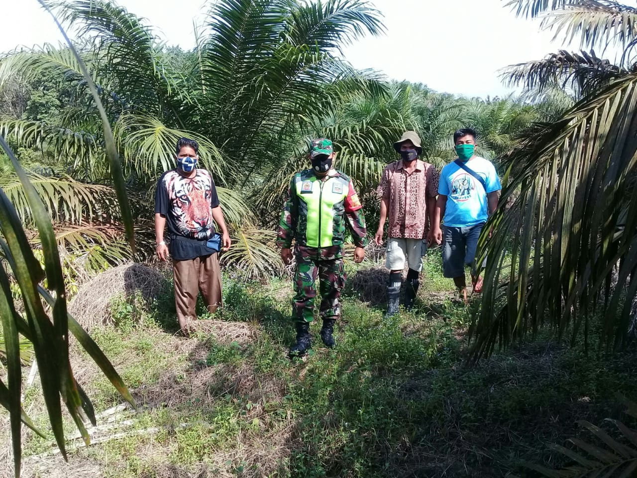 Lakukan Penyisiran, Sertu Afrisal Minta Masyarakat Tidak Membakar Lahan