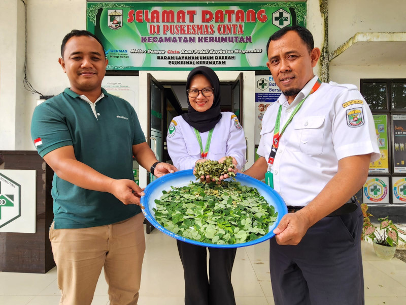 Sebarkan Khasiat Daun Kelor, PT SLS Gandeng Puskesmas Kerumutan Bereskan Risiko Stunting