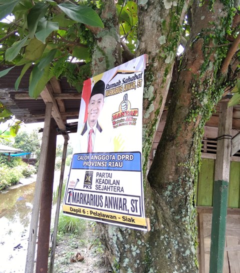 APK Paku di Pohon, Markarius Anwar Diduga Langgar PKPU No 23 Tahun 2018