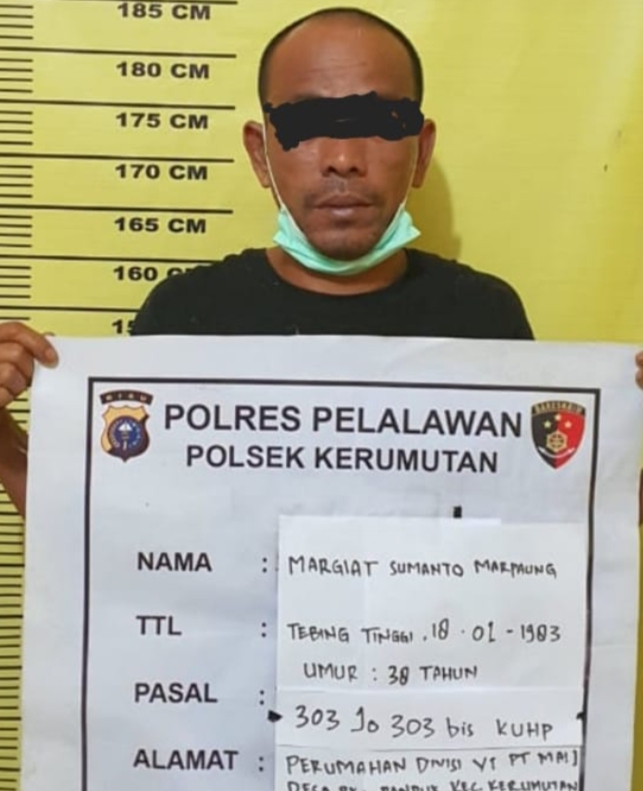 Polsek Kerumutan Tangkap Penjudi Togel