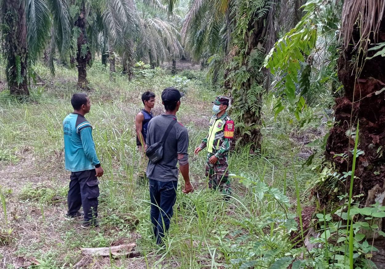 Kopda L Sigalingging: Kalau Membuka Lahan Jangan Dibakar