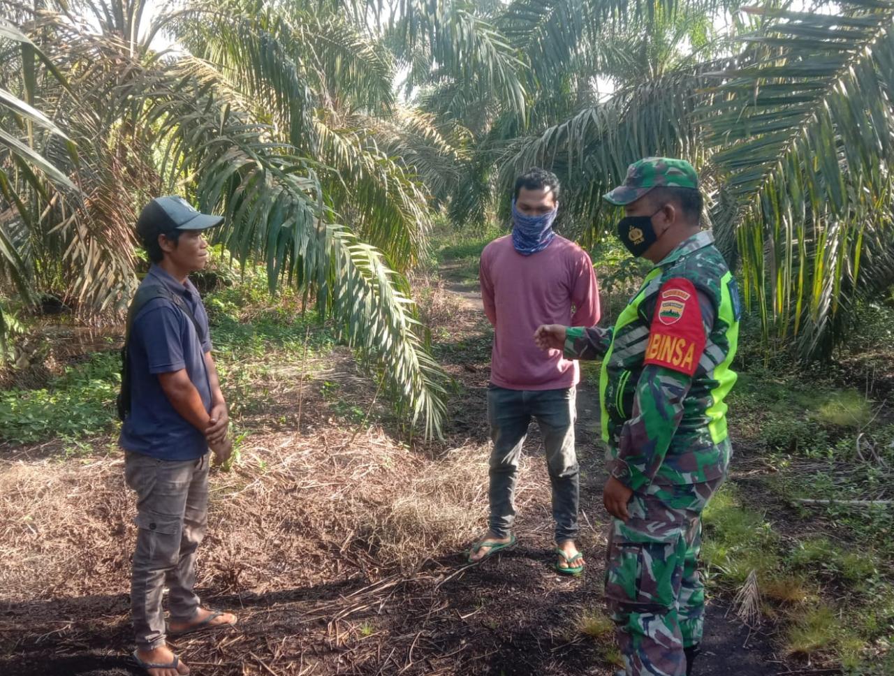 Sisir Hutan dan Lahan, Sertu Uuk Sudarijanto Sampaikan Dampak Karhutla ke Masyarakat Maredan
