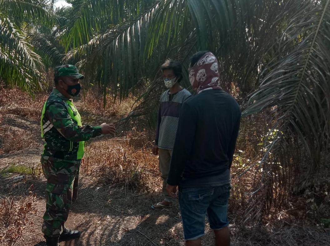 Sertu Uuk Sudarijanto: Terbukti Membakar Hutan dan Lahan, Langsung di Pidana