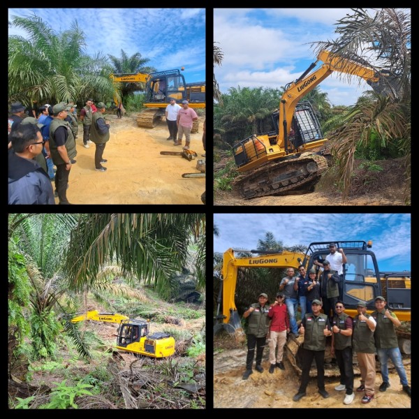 Dengan Sukarela Tanpa Paksaan, Tim Satgas PKH Menerima Pengembalian Lahan Sawitnya Seluas 401 Ha Milik NS Yang Berada di TNTN ke Negara
