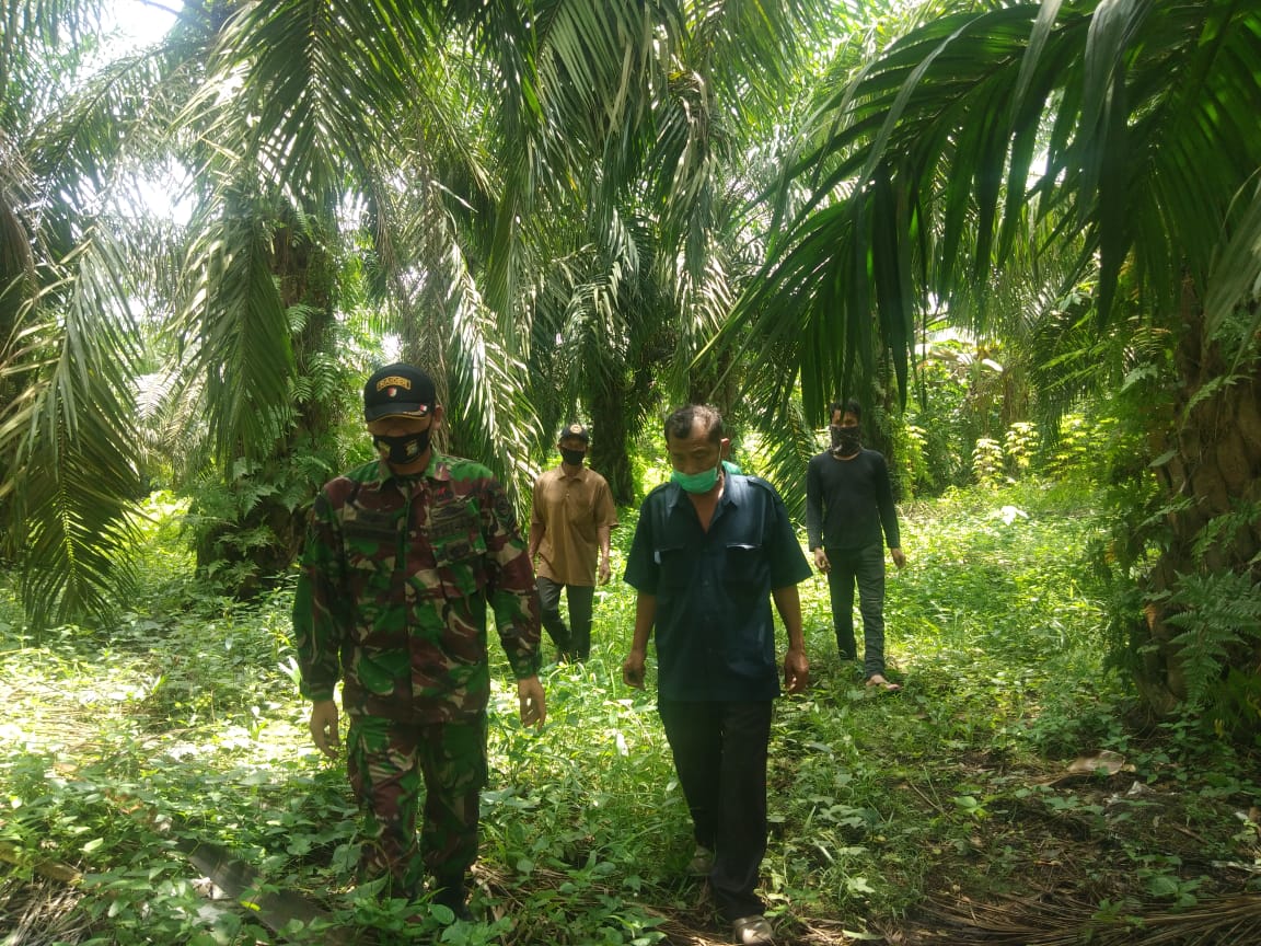 Masyarakat PST Setuju Tidak Bakar Hutan Dan Lahan