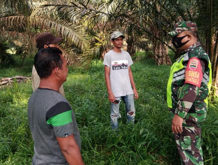 Cegah Karhutla, Serma Syafri Sisir Hutan dan Lahan Masyarakat Buatan Dua