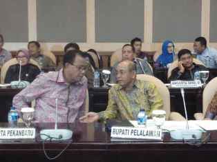 Cegah Karhutla, Menteri LHK Evaluasi Lahan Gambut dan Tinjau RTRW Riau