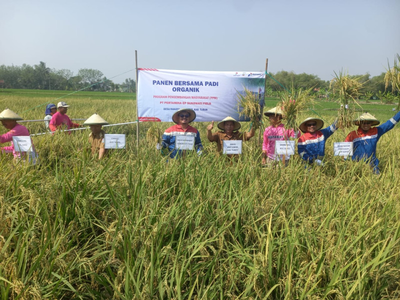 Petani Binaan PEP Sukowati Field Panen Perdana Pertanian Organik