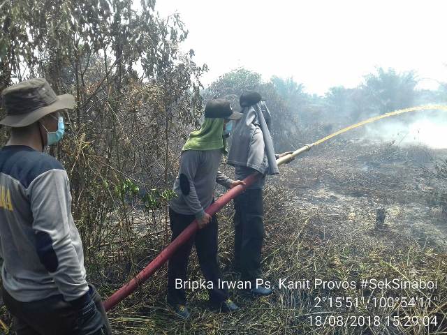 Polsek Sinaboi, Berhasil Padamkan Kebakaran Lahan Seluas 8 Hektar