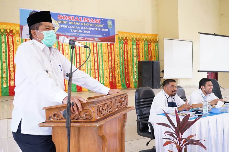 Alfedri Dukung Peningkatan Produksi Pertanian Melalui Program KUR, Ditengah Pendemi Covid-19 