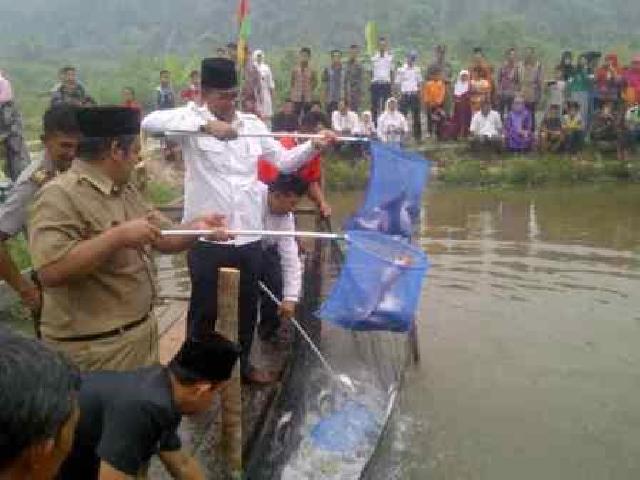 Pulau-Pulau di Samanajung Rohil Mampu Menongkrak PAD